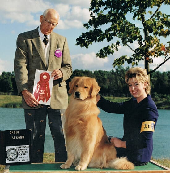 forevers hell in a bucket - golden retriever