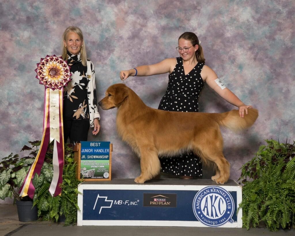 Photo of CH Forever’s Smoke And Whiskey, a  Golden Retriever.