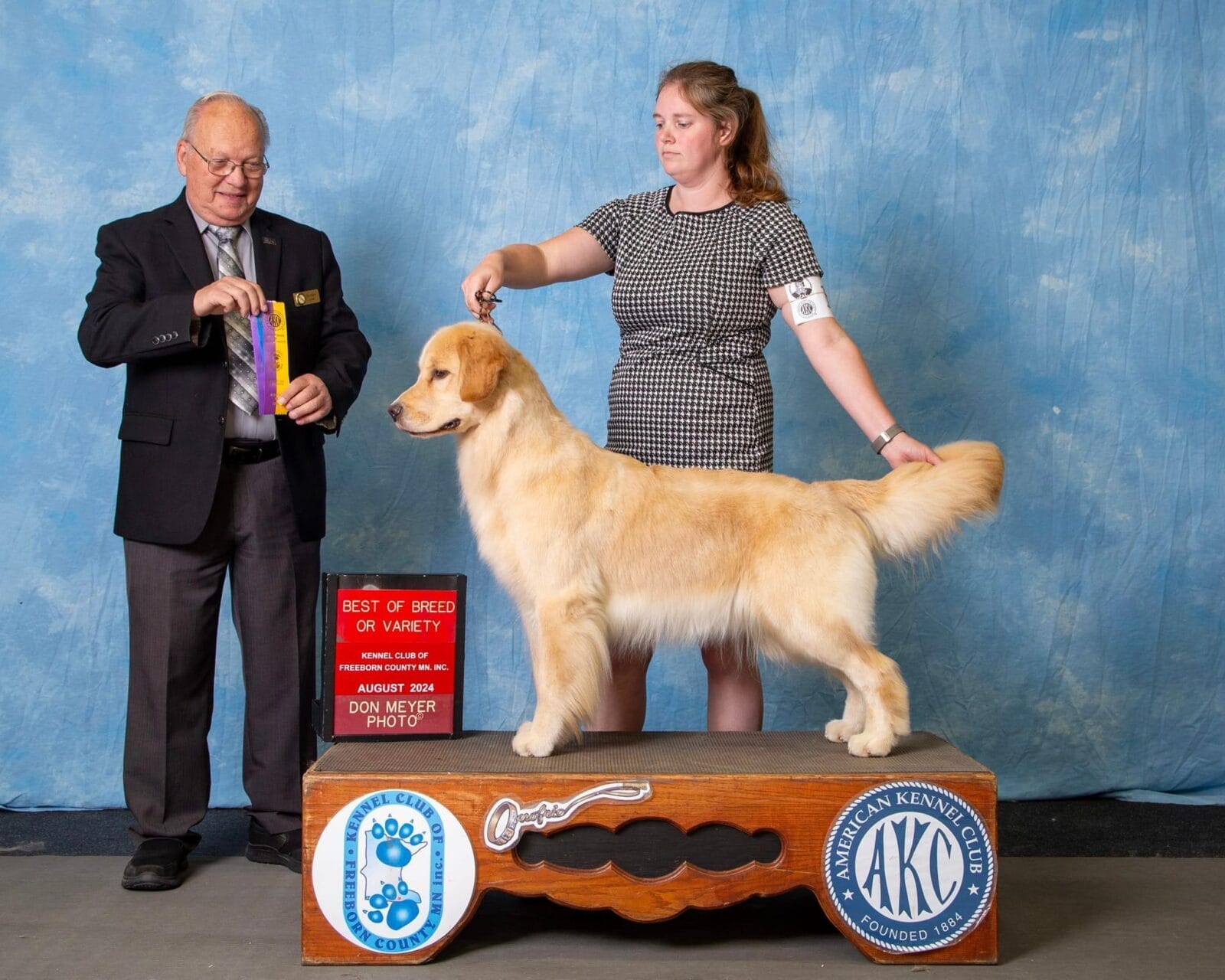 Photo of Forever’s Not Your Basic Beach RN DJ TKA CGCA CGCU, a  Golden Retriever.