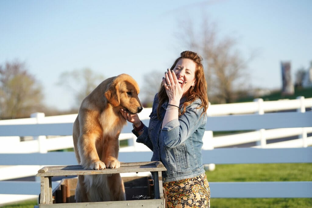 Photo of BIS BISS GCHP Goodfield Forever Redneck Woman SDHF, a  Golden Retriever.