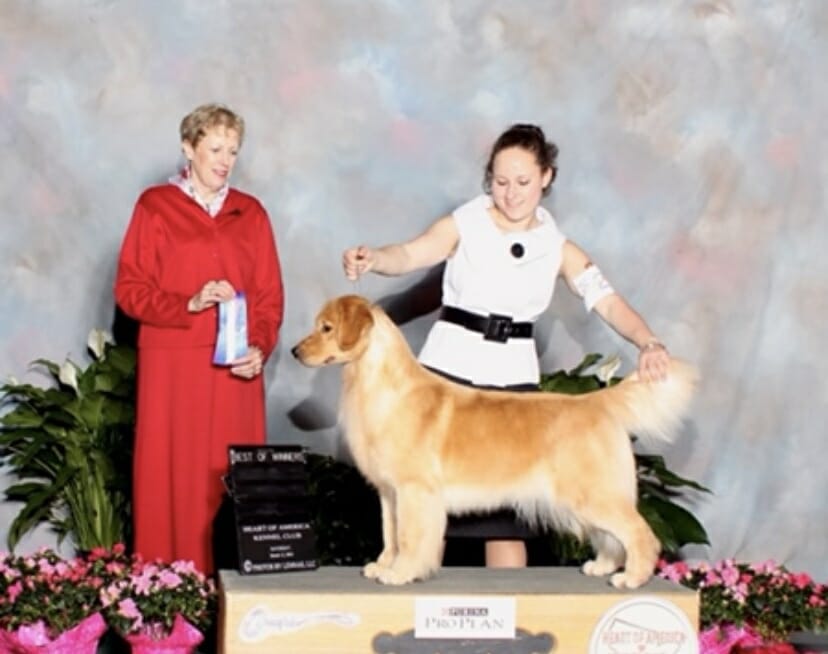 Wingate's forever pass the wine - golden retriever