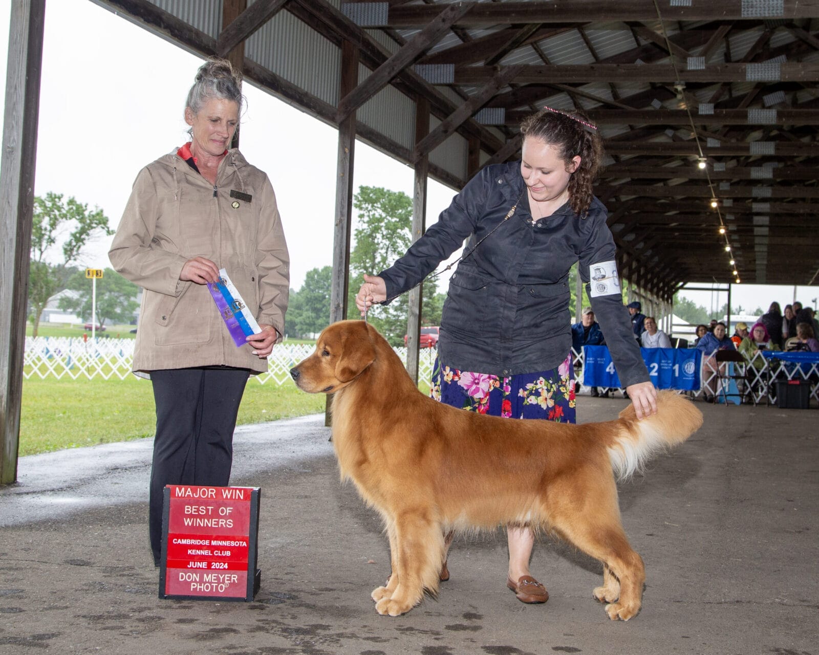 Photo of CH Forever RW May Contain Nuts, a Red Golden Retriever.