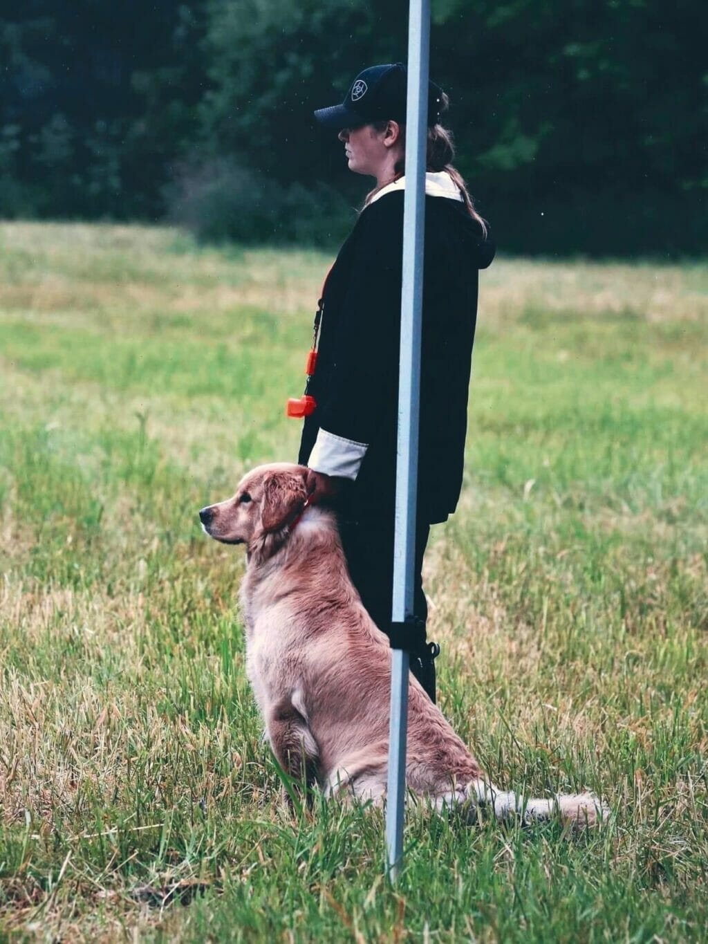 Photo of CH Forever’s Find Your Beach JH RN DN TKA CGCA RATS SWN OD, a  Golden Retriever.
