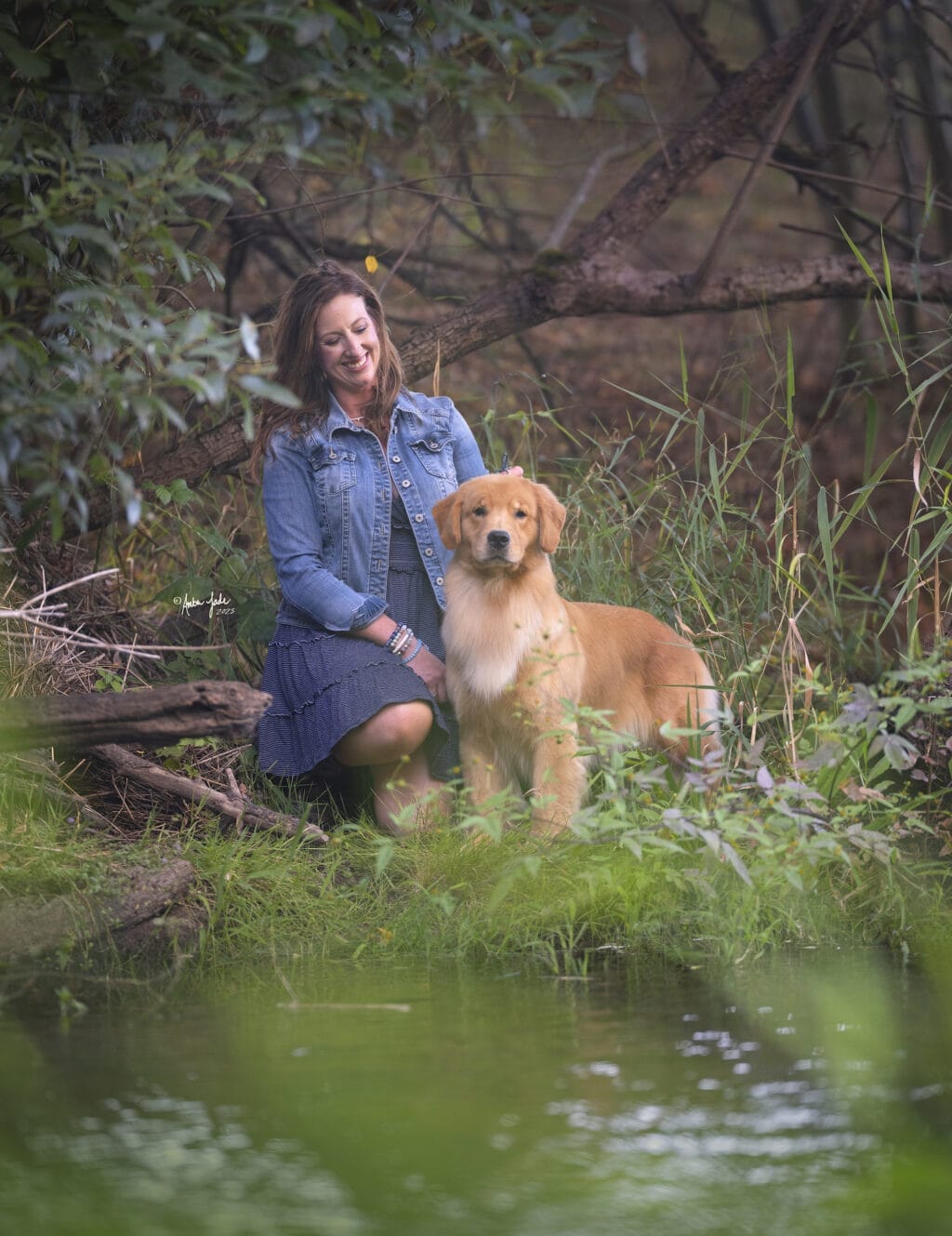Photo of BIS BISS GCHP Goodfield Forever Redneck Woman SDHF, a  Golden Retriever.