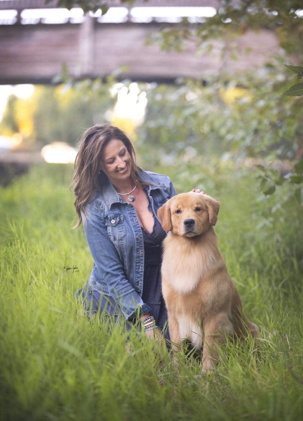 Photo of BIS BISS GCHP Goodfield Forever Redneck Woman SDHF, a  Golden Retriever.