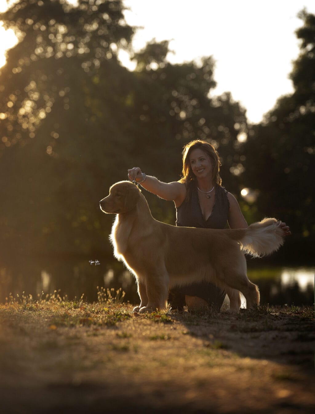 Photo of BIS BISS GCHP Goodfield Forever Redneck Woman SDHF, a  Golden Retriever.