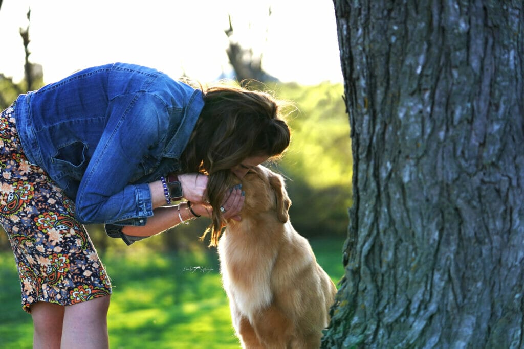 Photo of BIS BISS GCHP Goodfield Forever Redneck Woman SDHF, a  Golden Retriever.