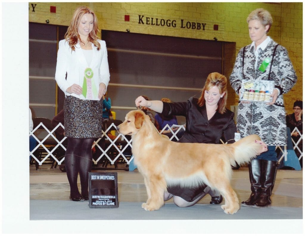forevers extra dirty - golden retriever