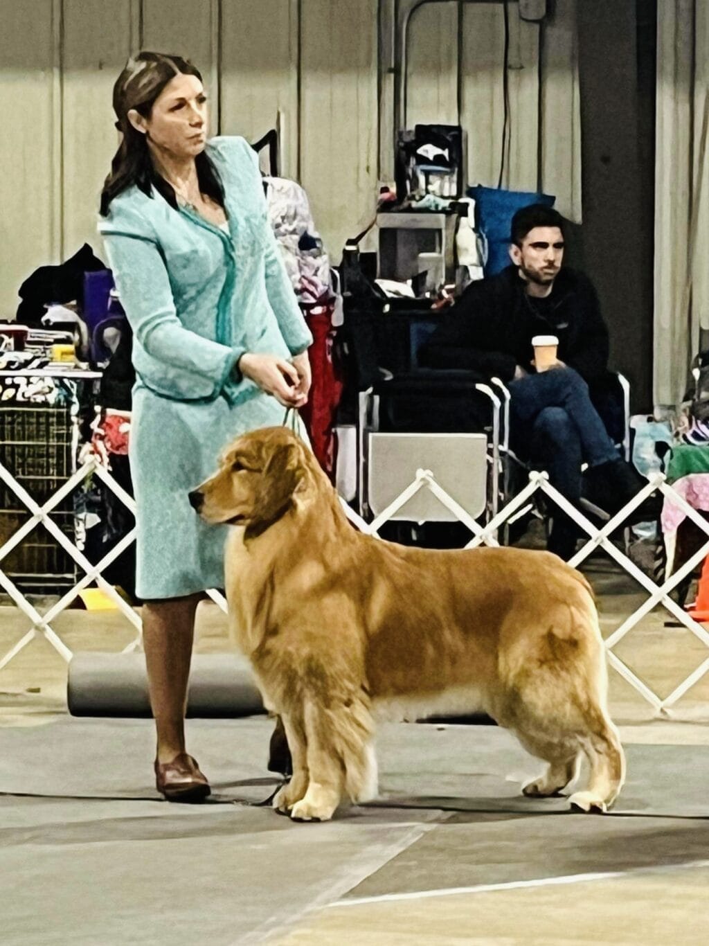 Photo of BISS US GCHB CH CAMP.MEX.GCM.PNM Forever’s Wine, Beer, Whiskey, a  Golden Retriever.