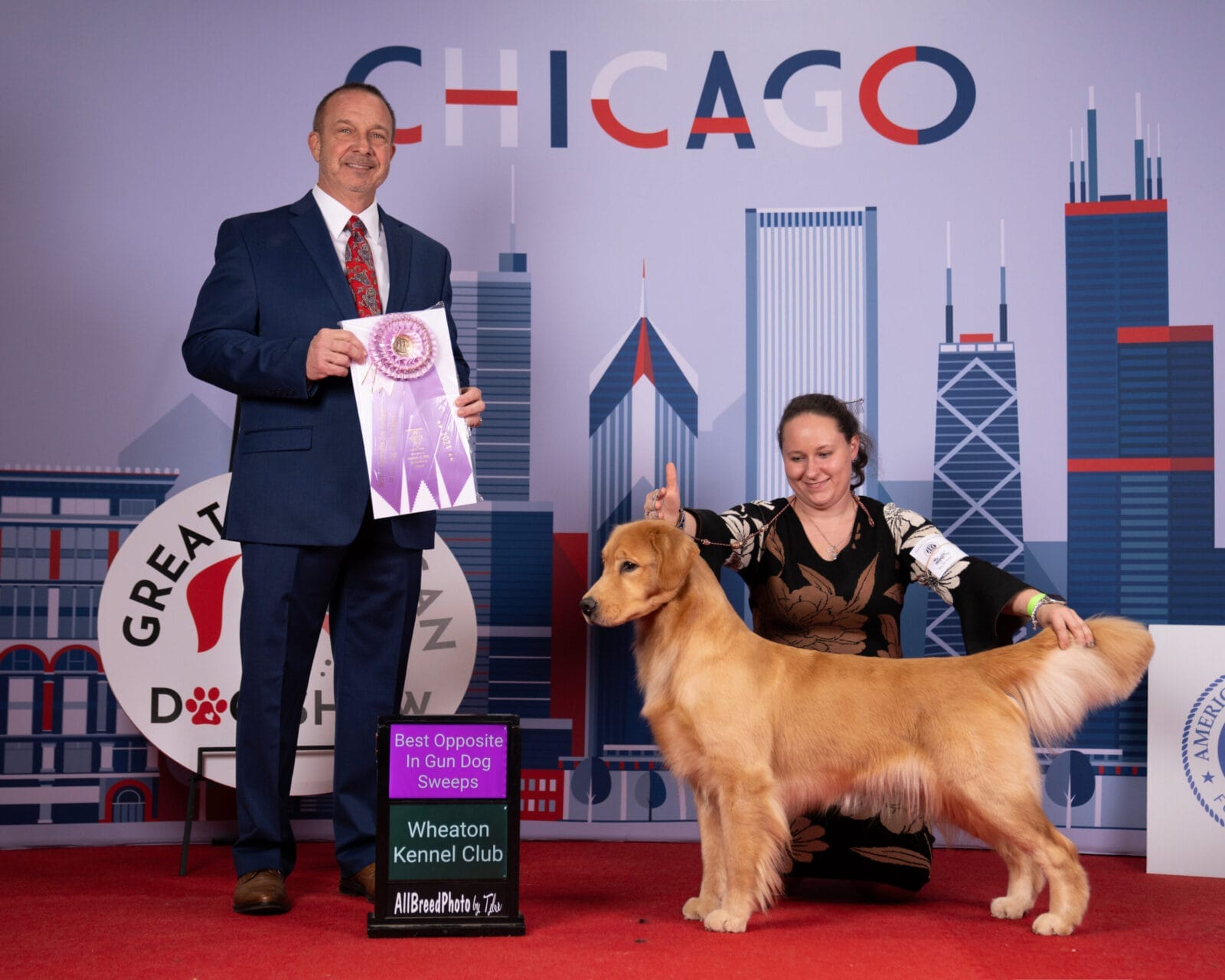 Photo of Forever’s Single And Ready To Mingle RN, JH, CGC, TKN, WC, a  Golden Retriever.