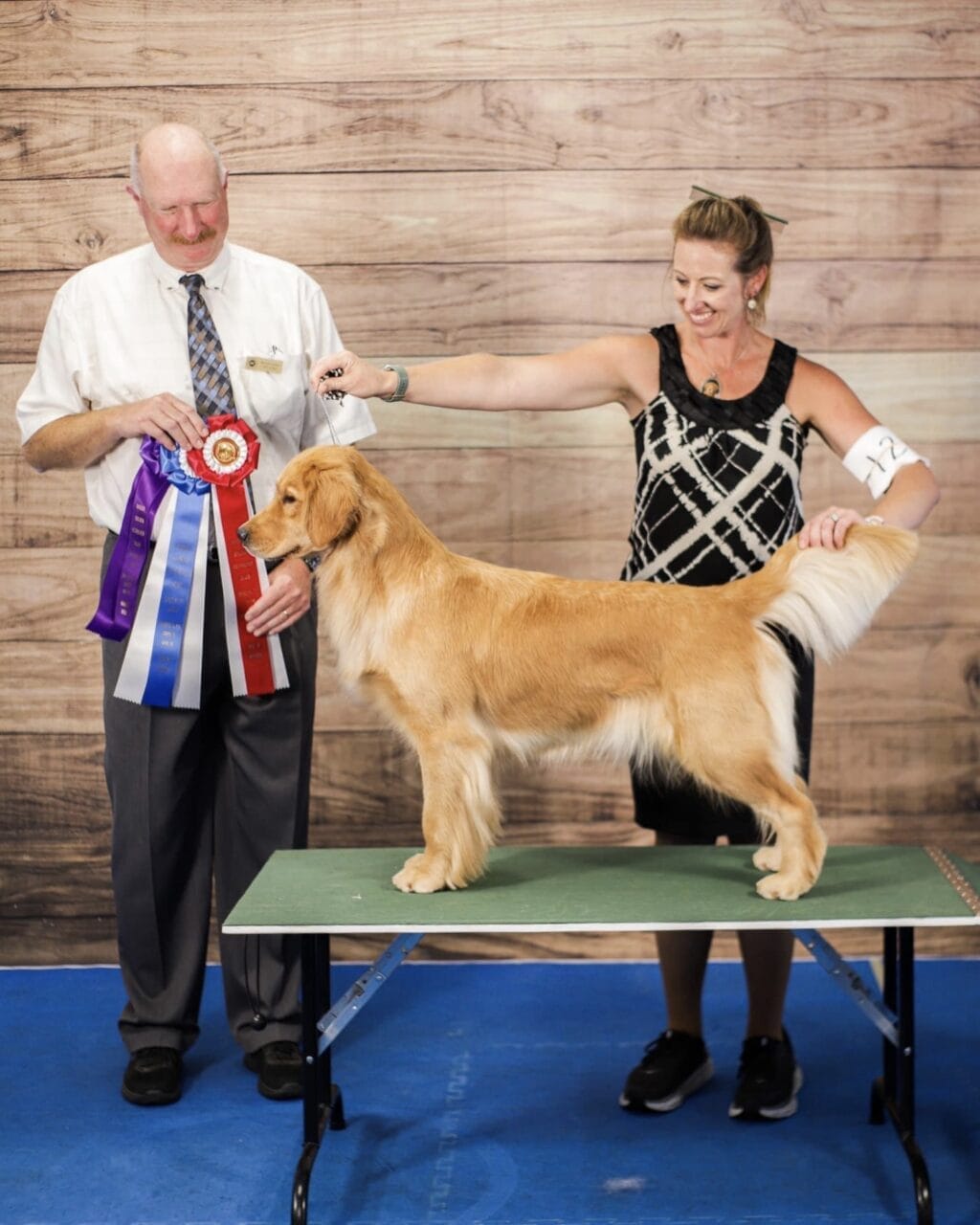 Photo of BOSS CH Zumbro’s Fishin’ In The Dark, a  Golden Retriever.