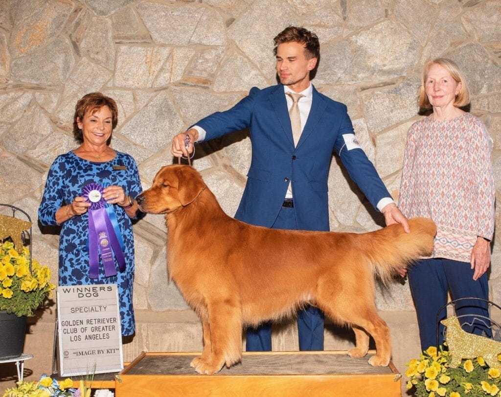 Photo of CH Garcin Forever A Blast From The Past, a Red Golden Retriever.