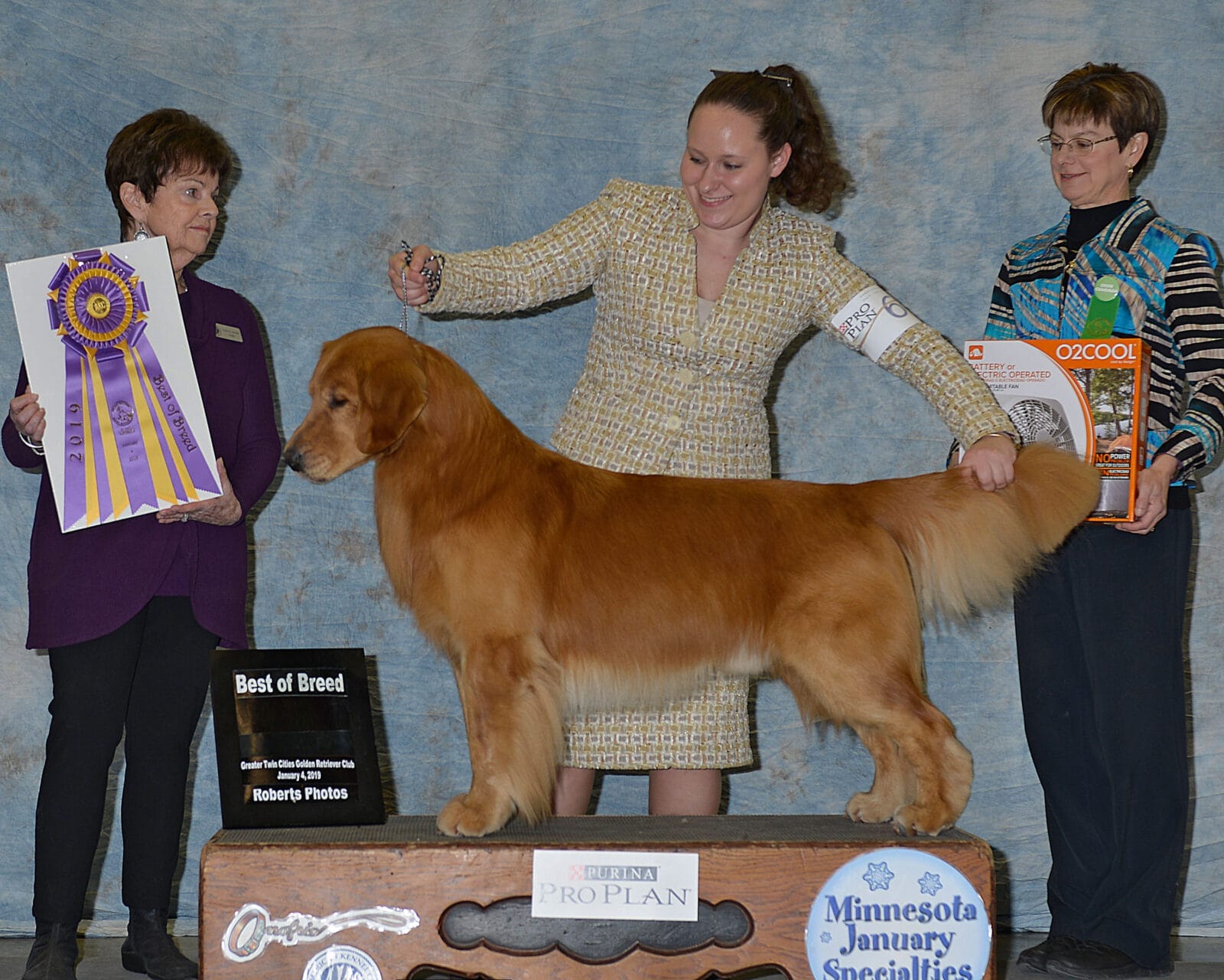 Photo of BISS GCH Forever’s For Love Of The Game JH, CD, VC, a Red Golden Retriever.