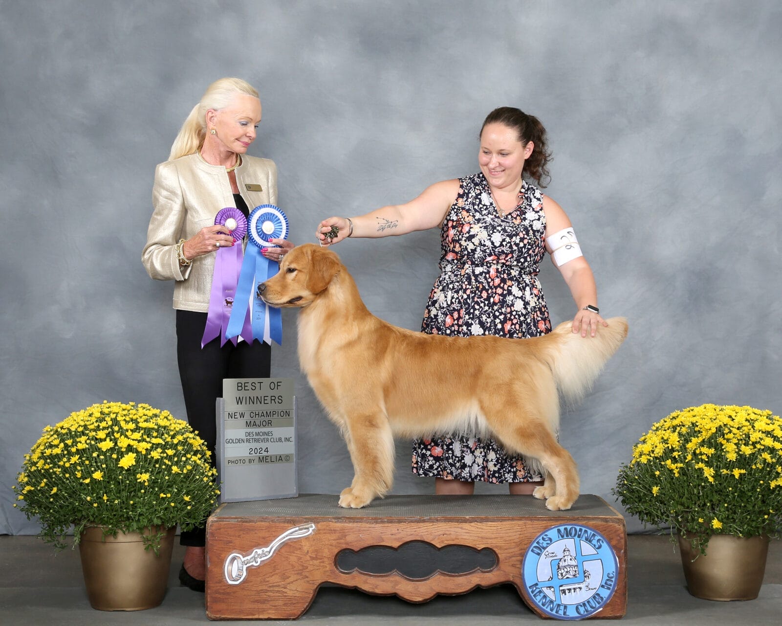 Photo of CH Forever Jessper’s Last Lie, a  Golden Retriever.