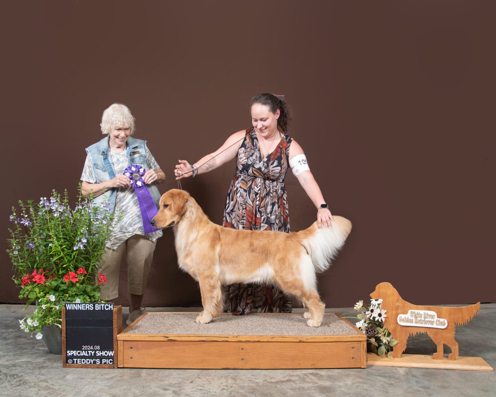 Photo of Forever’s Reminiscence At Rush Hill CD BN RA TKN CGC, a  Golden Retriever.