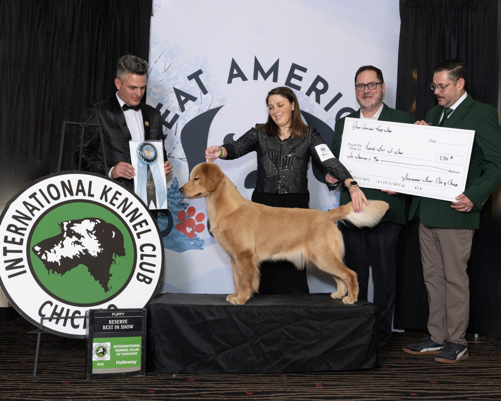 Photo of Forever’s Sippin’ On Fire, a  Golden Retriever.