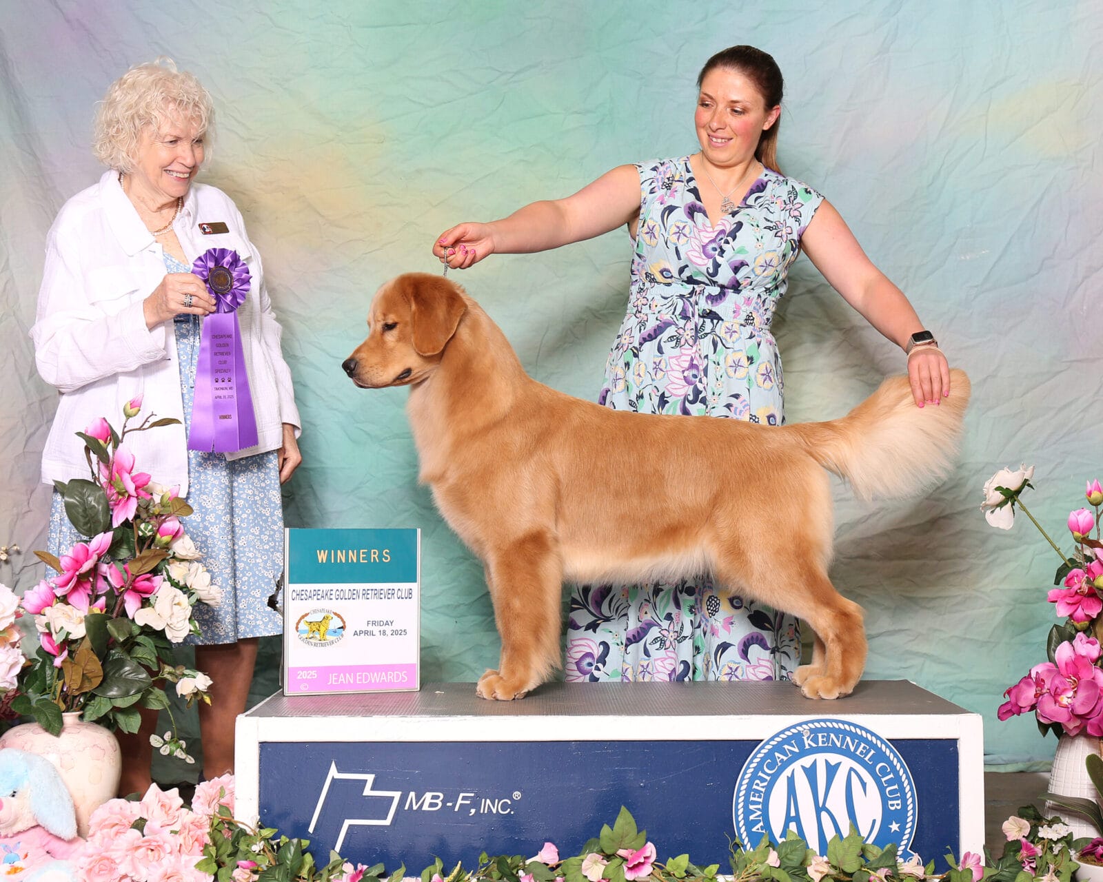 Photo of Forever’s Sippin’ On Fire, a  Golden Retriever.