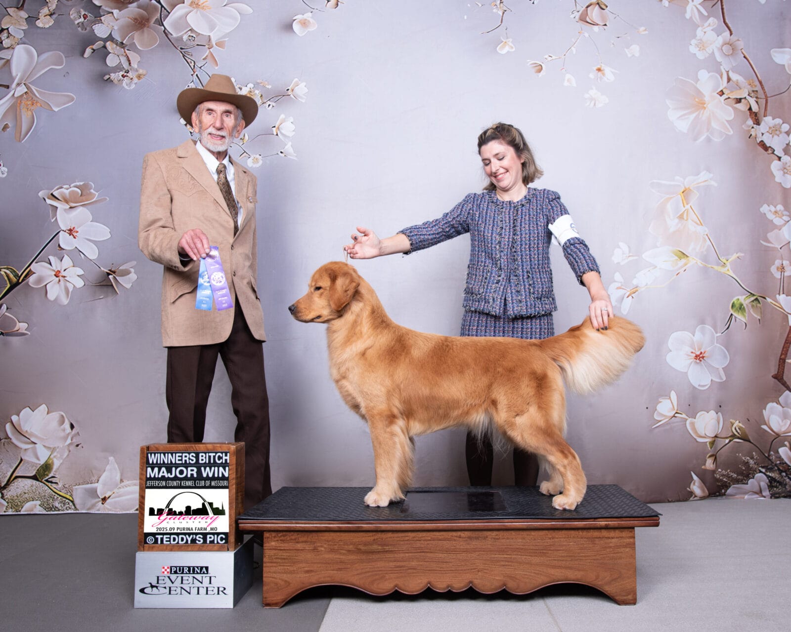 Photo of MBOSS CH Zumbro Forever’s Black Friday, a  Golden Retriever.
