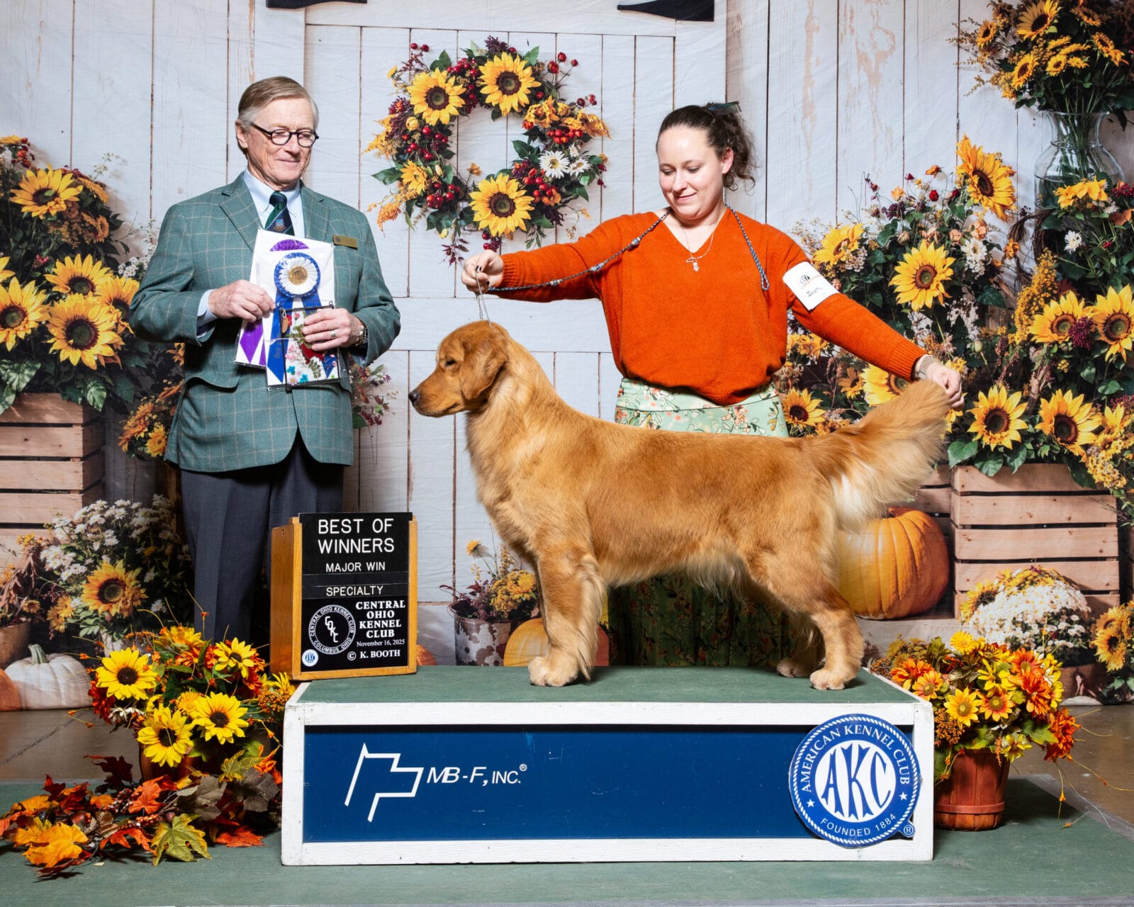 Photo of MBOSS CH Zumbro Forever’s Black Friday, a  Golden Retriever.