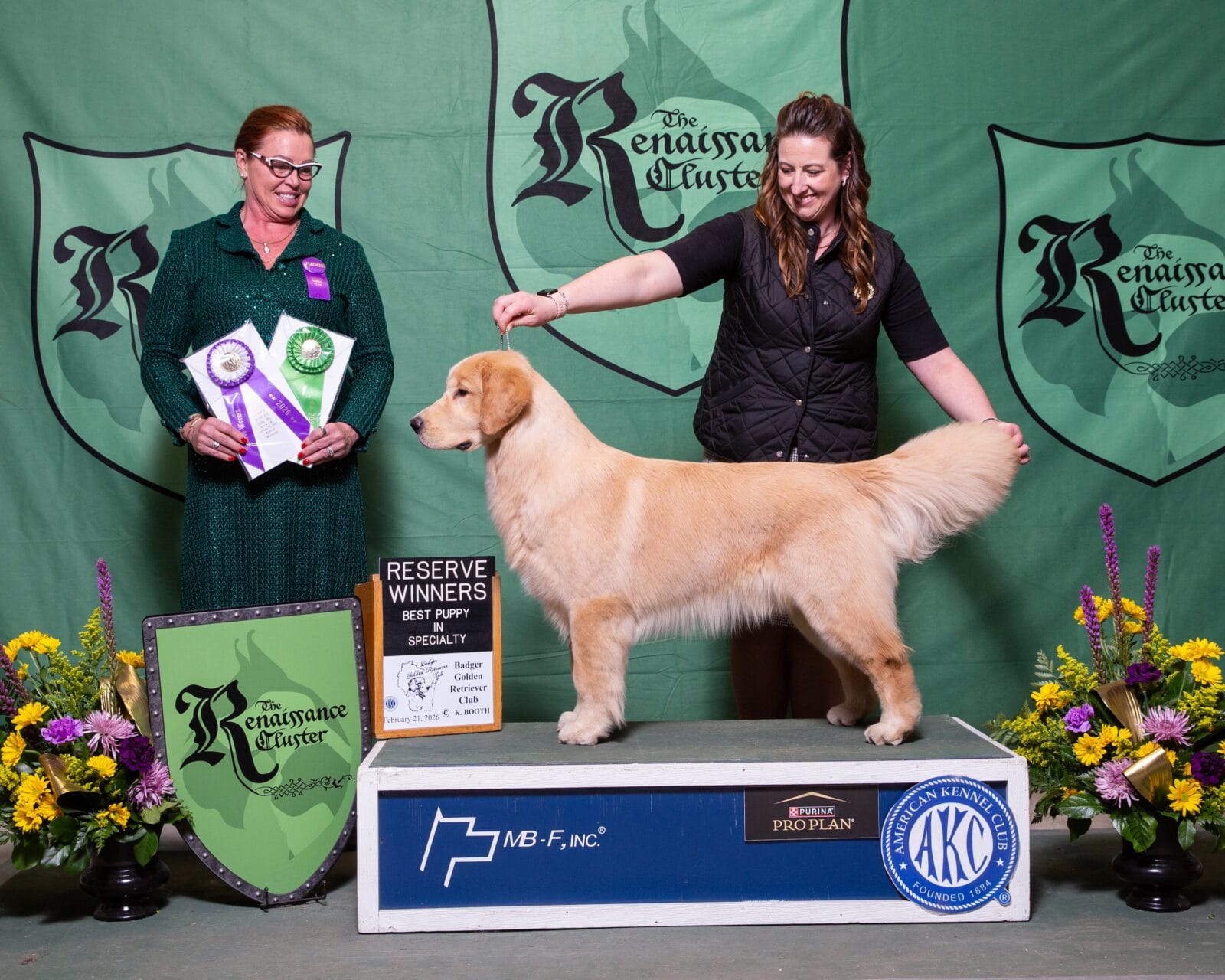Photo of Forever Garcin Moves Like Jagger, a  Golden Retriever.