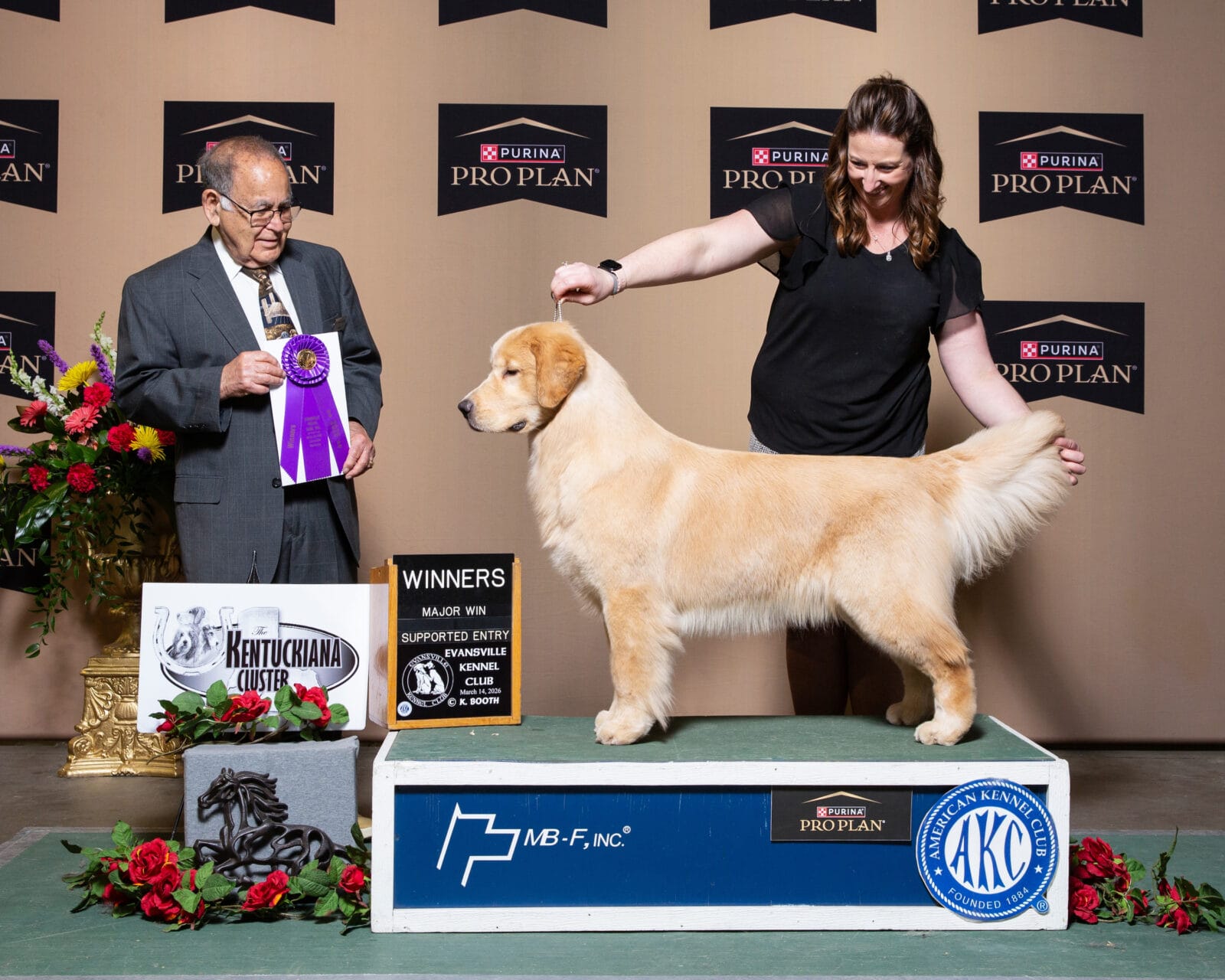 Photo of Forever Garcin Moves Like Jagger, a  Golden Retriever.