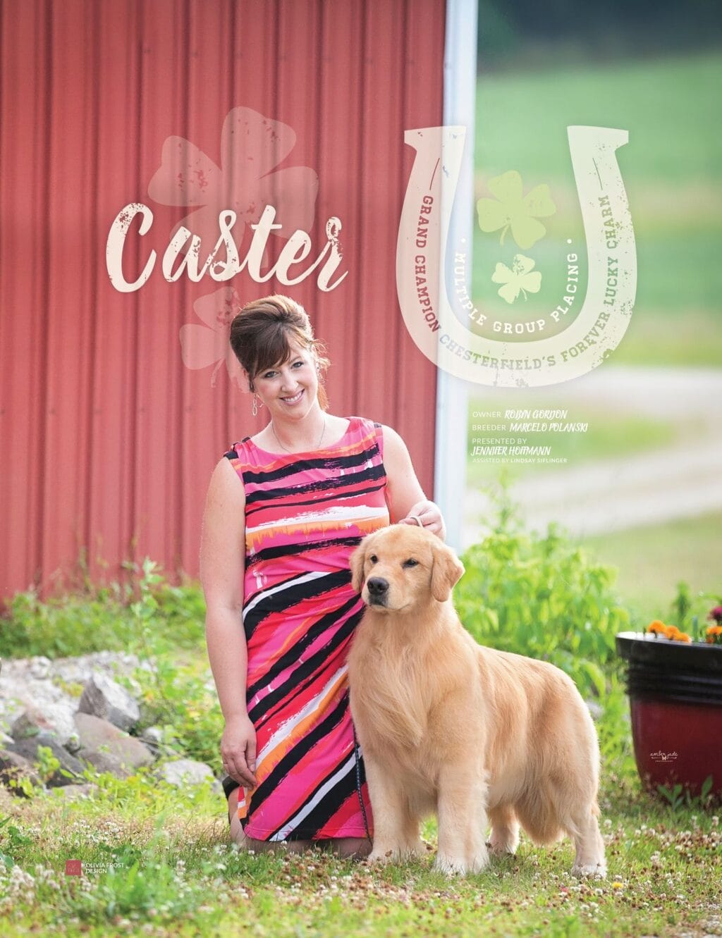 Photo of GCH Chesterfield’s Forever Lucky Charm, a  Golden Retriever.